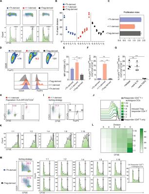 Human Regulatory Dendritic Cells Develop From Monocytes in Response to Signals From Regulatory and Helper T Cells